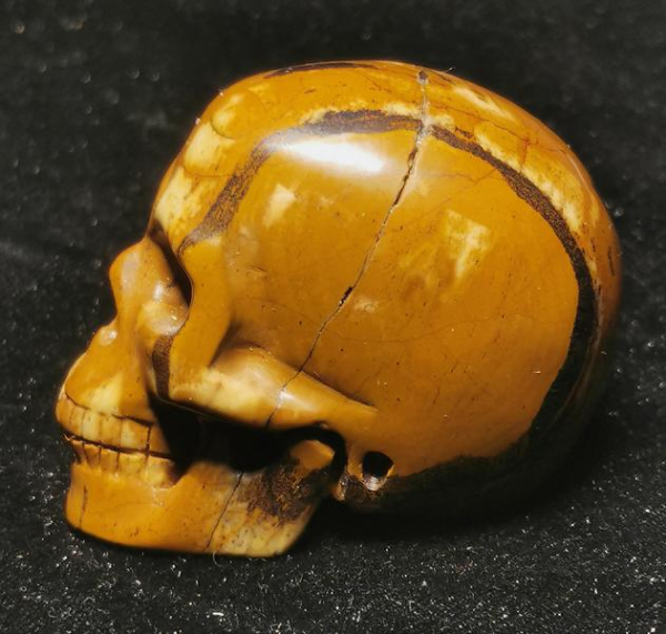 Yellow Leaves Stone Skull